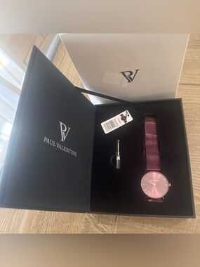 Paul Valentine NIB Mesh Strap Watch